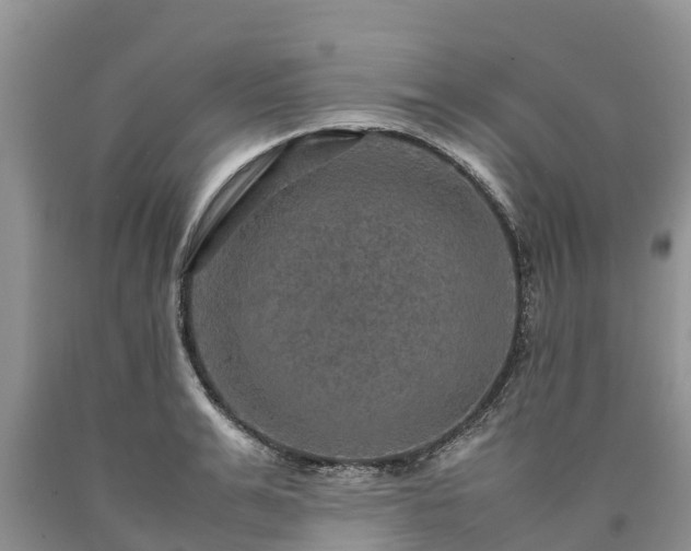 X0000090620991200707241125