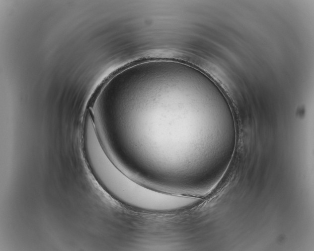 X0000090620992200707241125