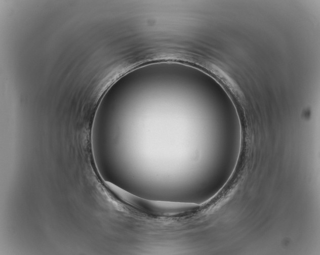 X0000090620993200707241125