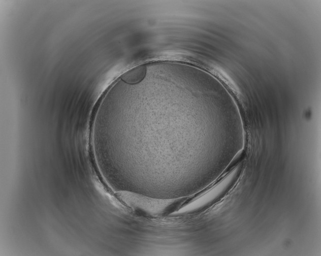 X0000090620994200707241125