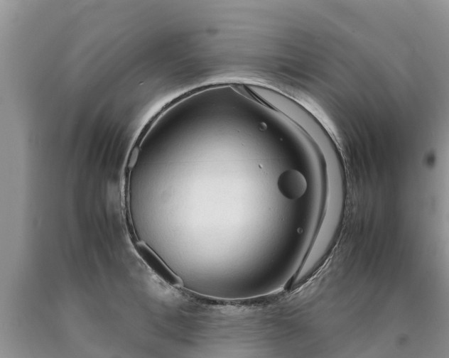 X0000090620996200707241125