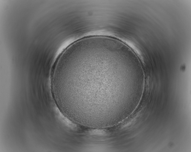 X0000090620998200707241125
