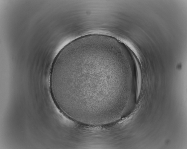 X0000090620999200707241125