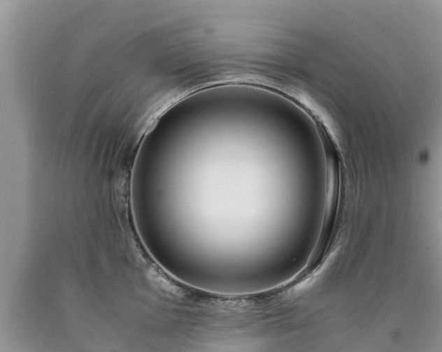 X0000090621001200707241125