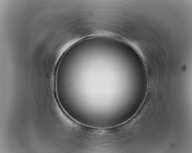 X0000090621003200707241125