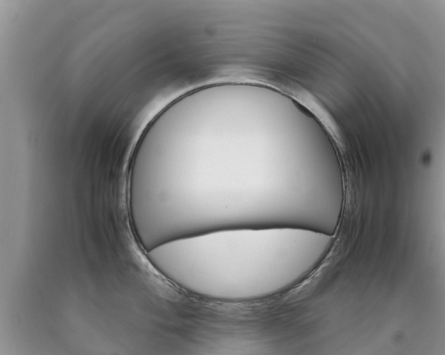 X0000090621004200707241125