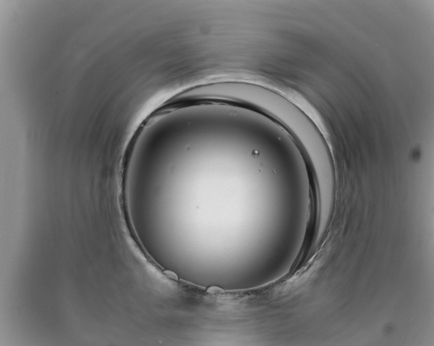 X0000090621005200707241125