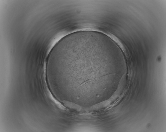 X0000090621006200707241125