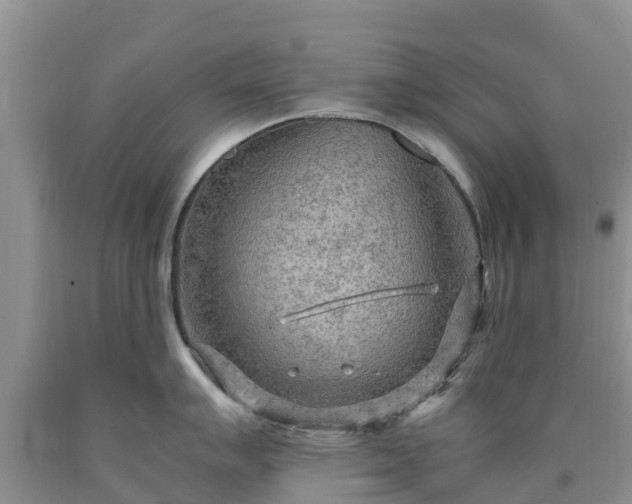 X0000090621007200707241125