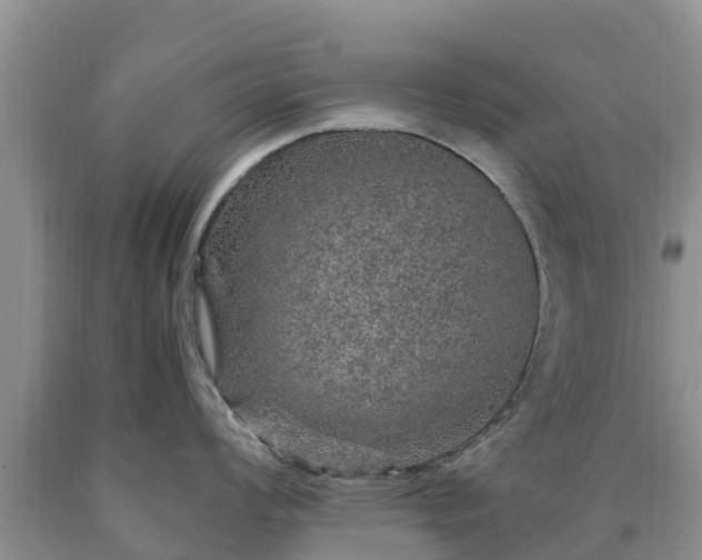X0000090621008200707241125