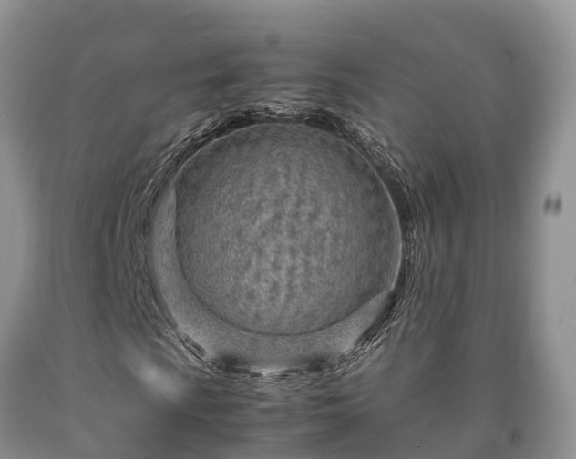 X0000090621009200707241124
