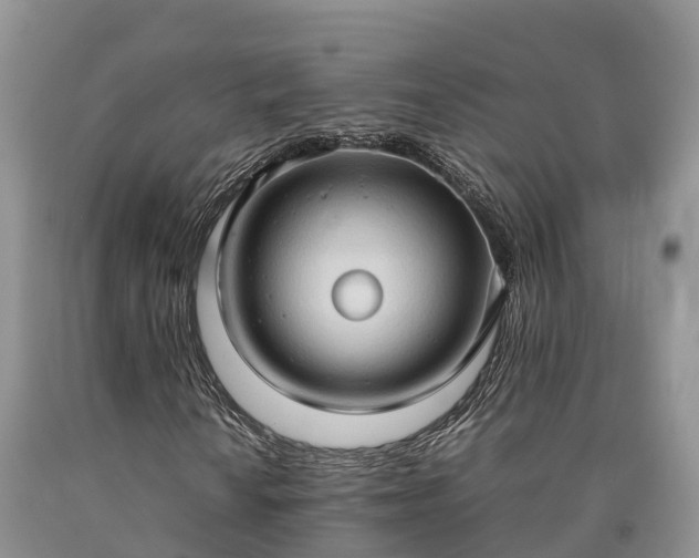 X0000090621010200707241124