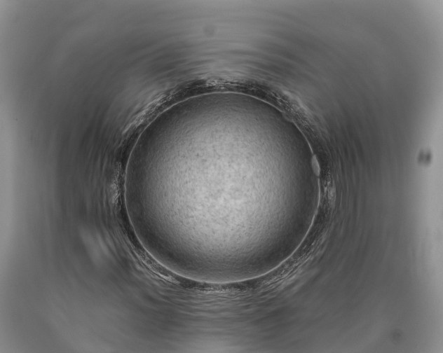 X0000090621012200707241124