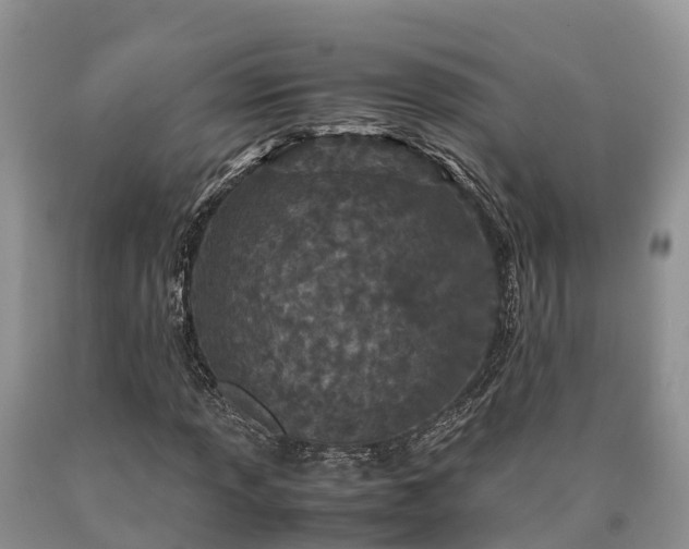 X0000090621013200707241124