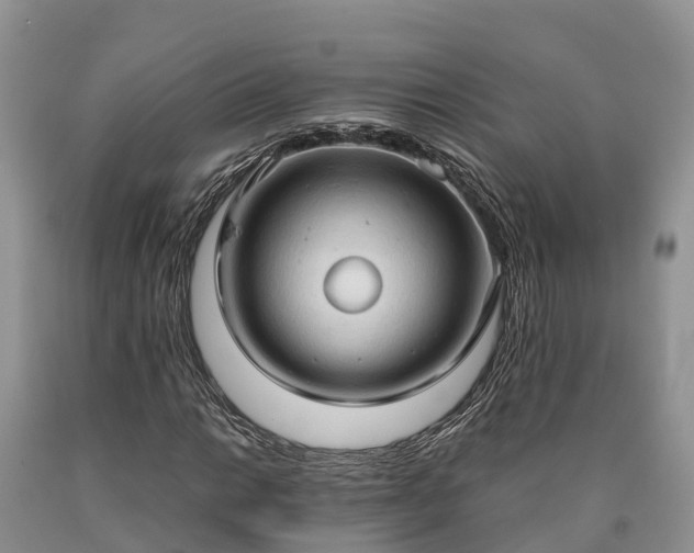 X0000090621014200707241124