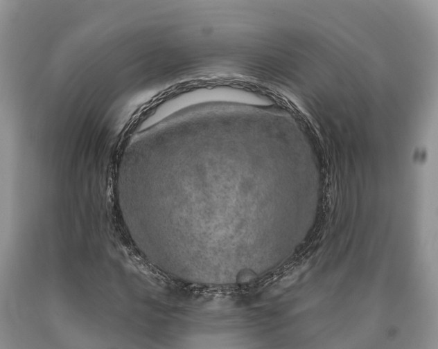 X0000090621016200707241124