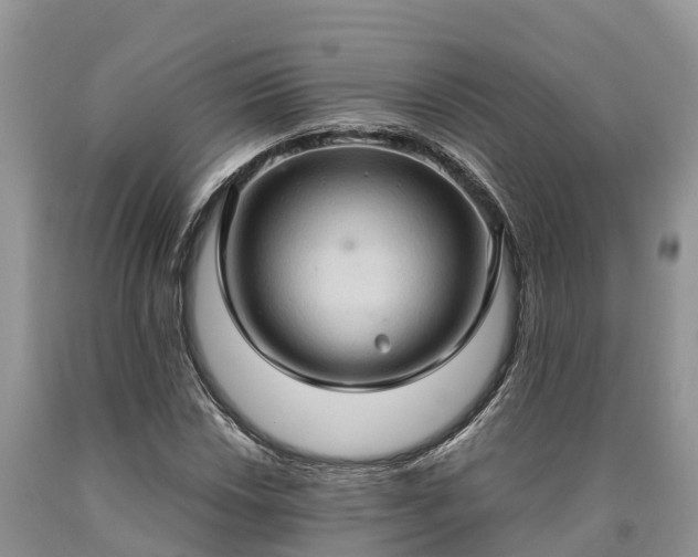 X0000090621018200707241124