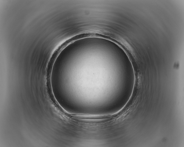 X0000090621020200707241124