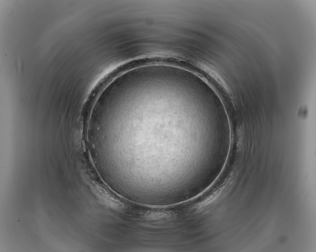 X0000090621021200707241124