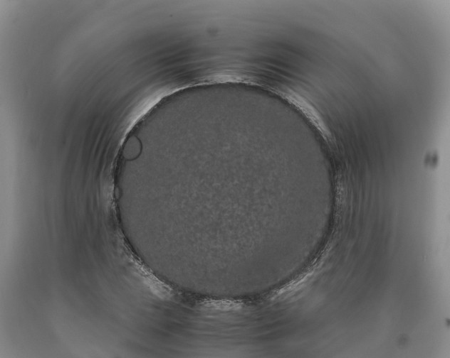 X0000090621023200707241124