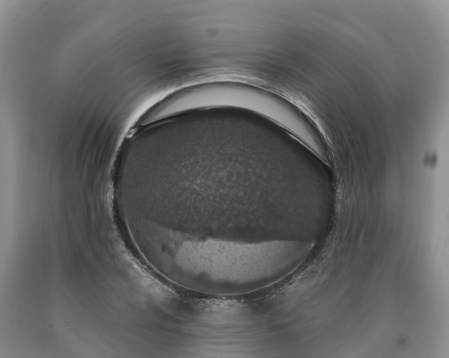 X0000090621024200707241124
