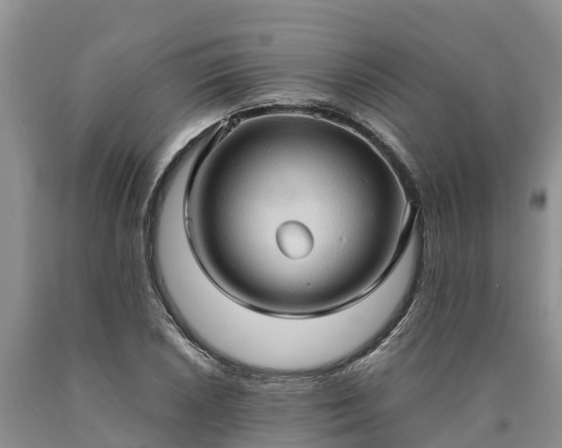 X0000090621026200707241124