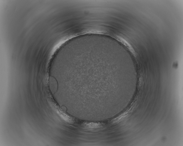 X0000090621027200707241124