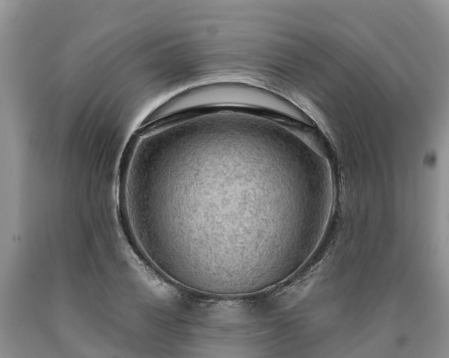 X0000090621028200707241124