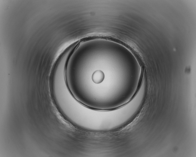 X0000090621030200707241124