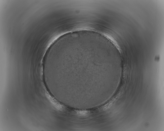X0000090621031200707241124