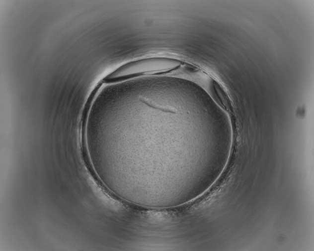 X0000090621032200707241124