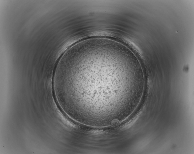 X0000090621033200707241124