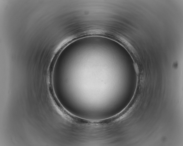 X0000090621034200707241124