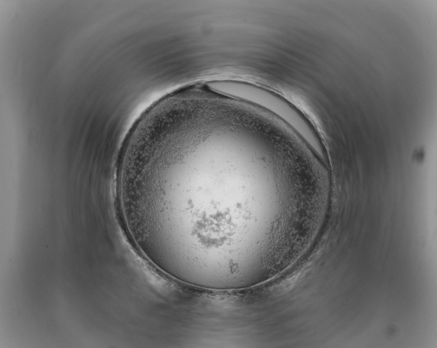 X0000090621040200707241124