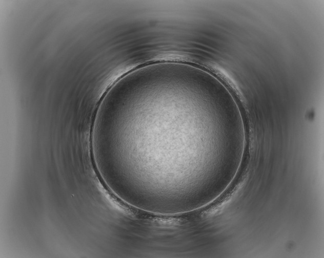 X0000090621041200707241124