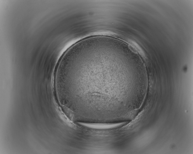 X0000090621044200707241124