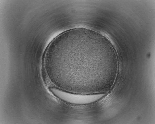 X0000090621048200707241124