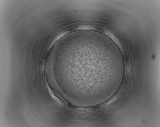 X0000090621049200707241124