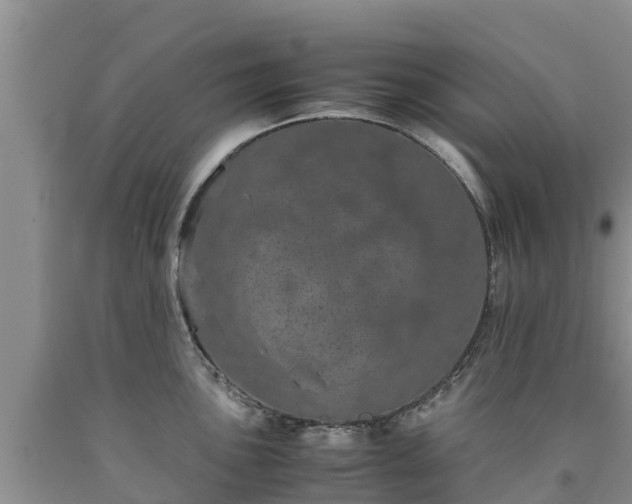 X0000090621051200707241124