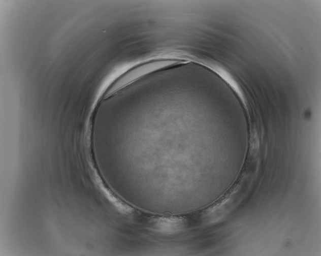 X0000090621053200707241124