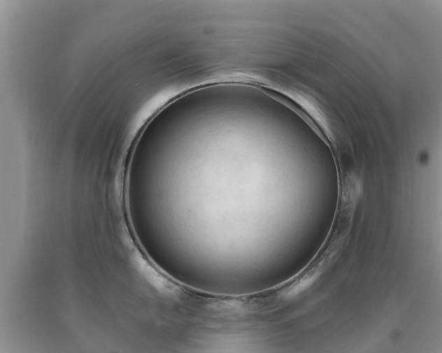 X0000090621054200707241125