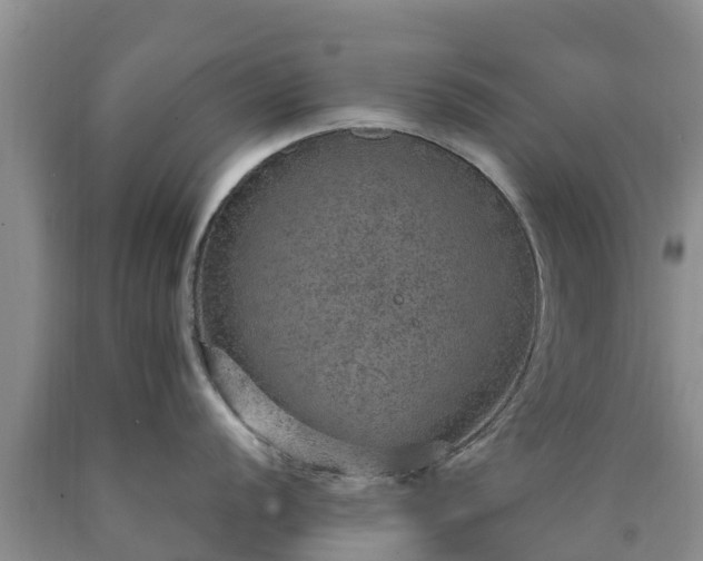 X0000090621056200707241125