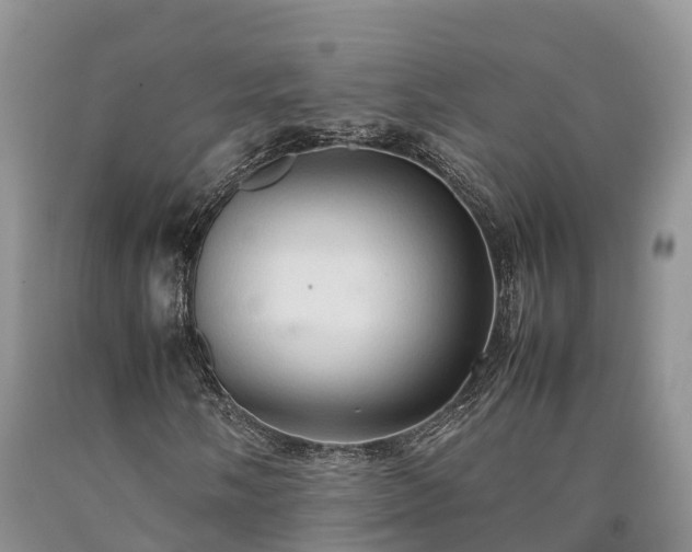 X0000090621058200707241124