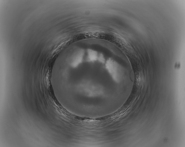 X0000090621060200707241124