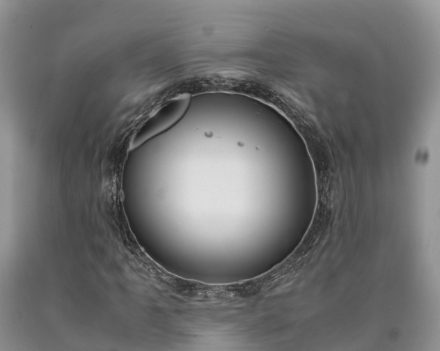 X0000090621061200707241124