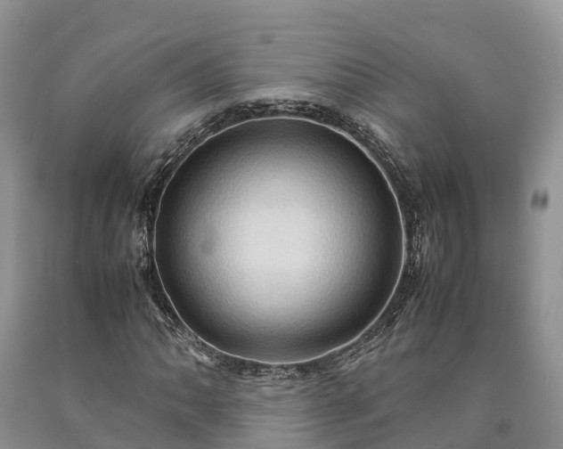 X0000090621062200707241124