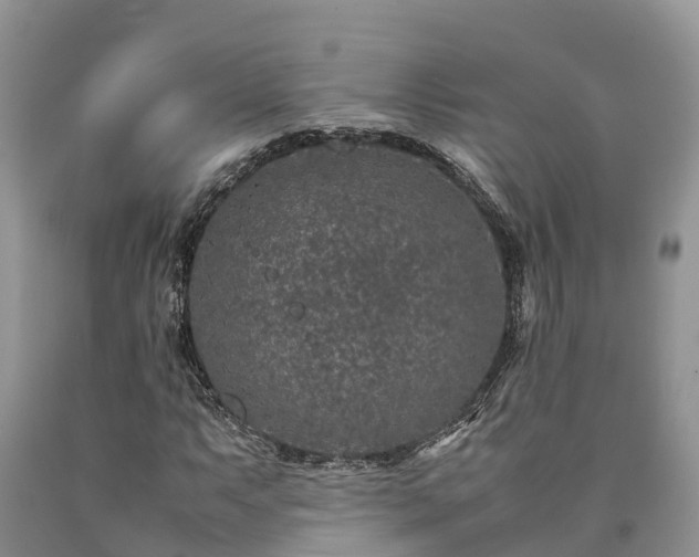 X0000090621063200707241124