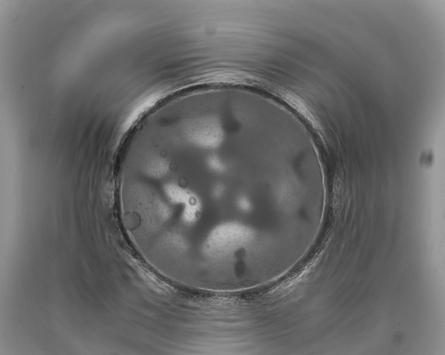 X0000090621067200707241124