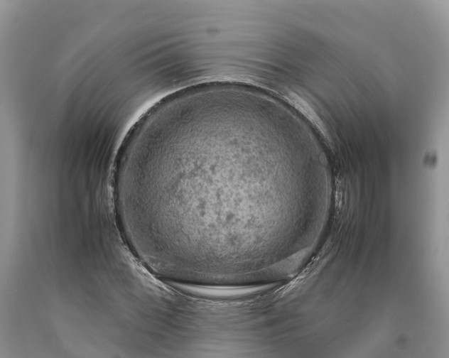 X0000090621068200707241124