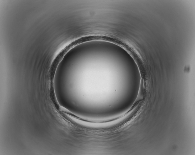 X0000090621069200707241124